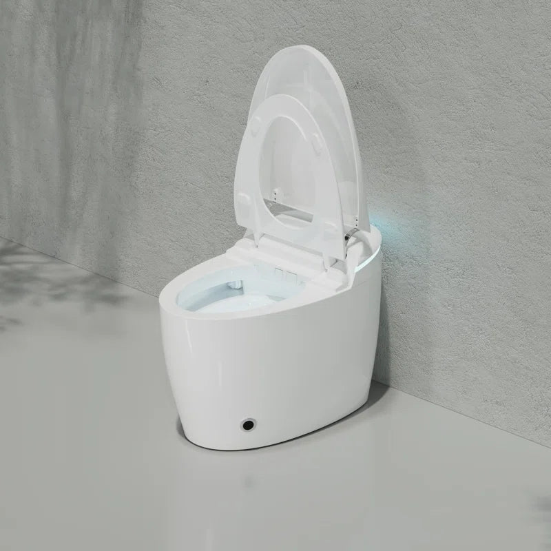 Smart Bidet Toilet with Massage Washing, Auto Flush, Heated Seat, Multi Function Remote Control