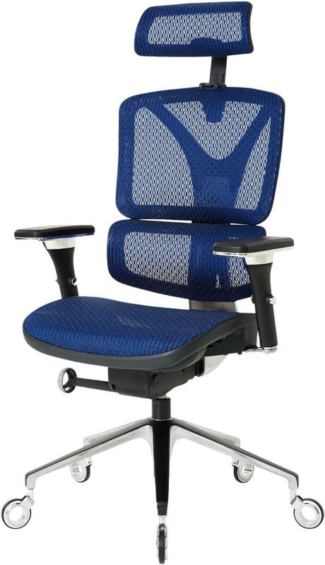 Ergopro Ergonomic Office Chair with Back Support, Computer Chair and Dorm Chair for Study. Rolling Chair Prowheels, 360 Degree Swivel Chair, Mesh Office Chair. (Blue)