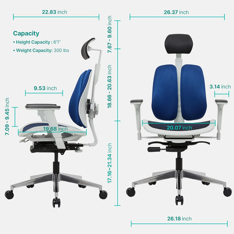 [Dual-Backrests Alpha - Ergonomic Office Chair, Home Office Desk Chairs, Executive Office Chair, Best Office Chair for Lower Back Pain, Mesh Office Chair, Office Desk Chair (White/Blue)