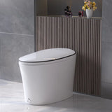 Smart Bidet Toilet Quiet-Closed Heated Seat Sensor Auto, Foot Kick & Blackout Flush, Warm Wash, Night Light