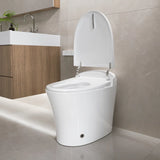 Tankless Elongated Smart Bidet Toilet, Auto / Foot Flush, Heated Seat, Warm Wash, Dryer, Night Light